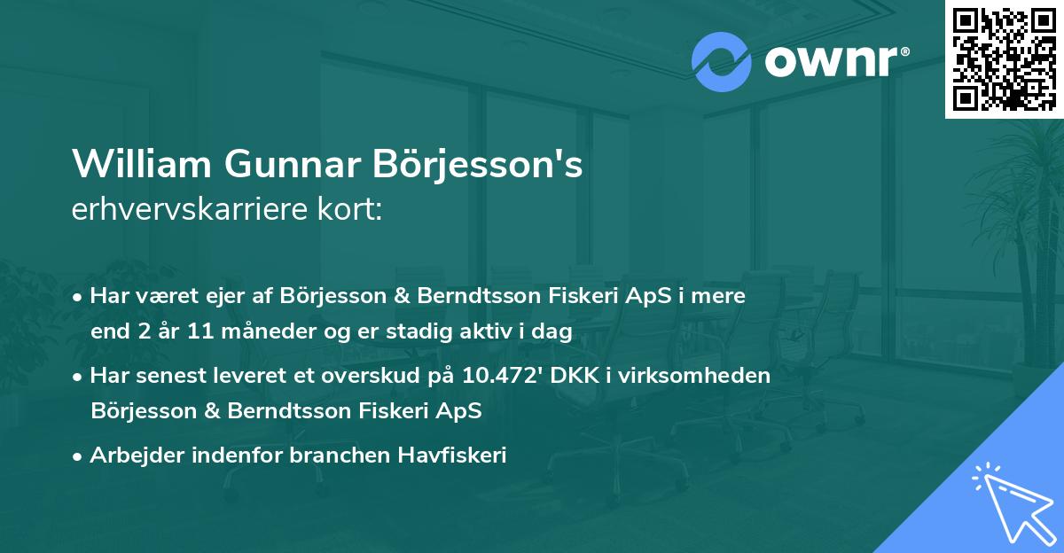William Gunnar Börjesson's erhvervskarriere kort