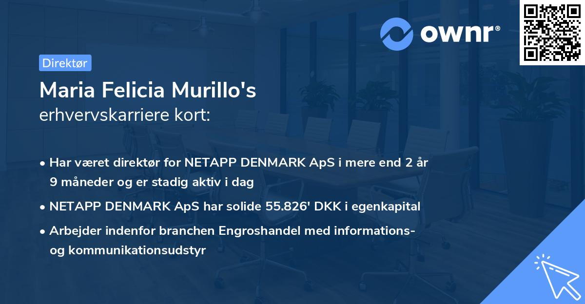 Maria Felicia Murillo's erhvervskarriere kort