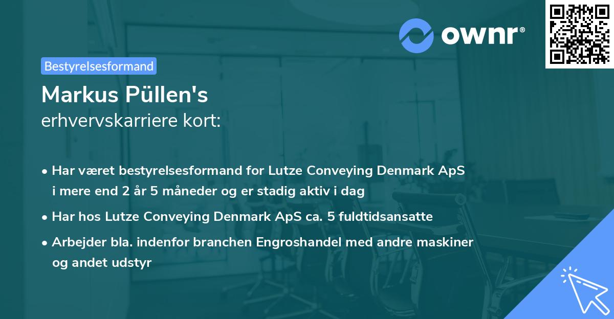 Markus Püllen's erhvervskarriere kort