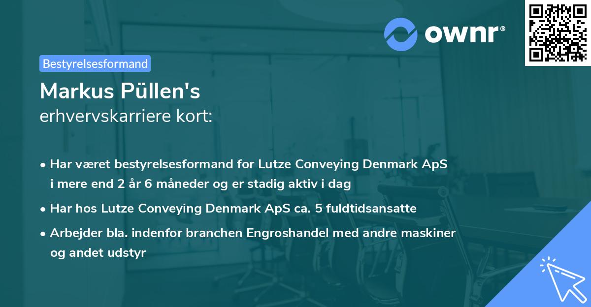 Markus Püllen's erhvervskarriere kort