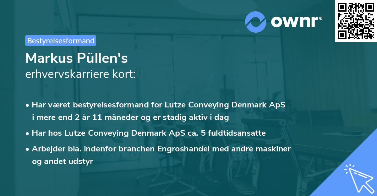 Markus Püllen's erhvervskarriere kort