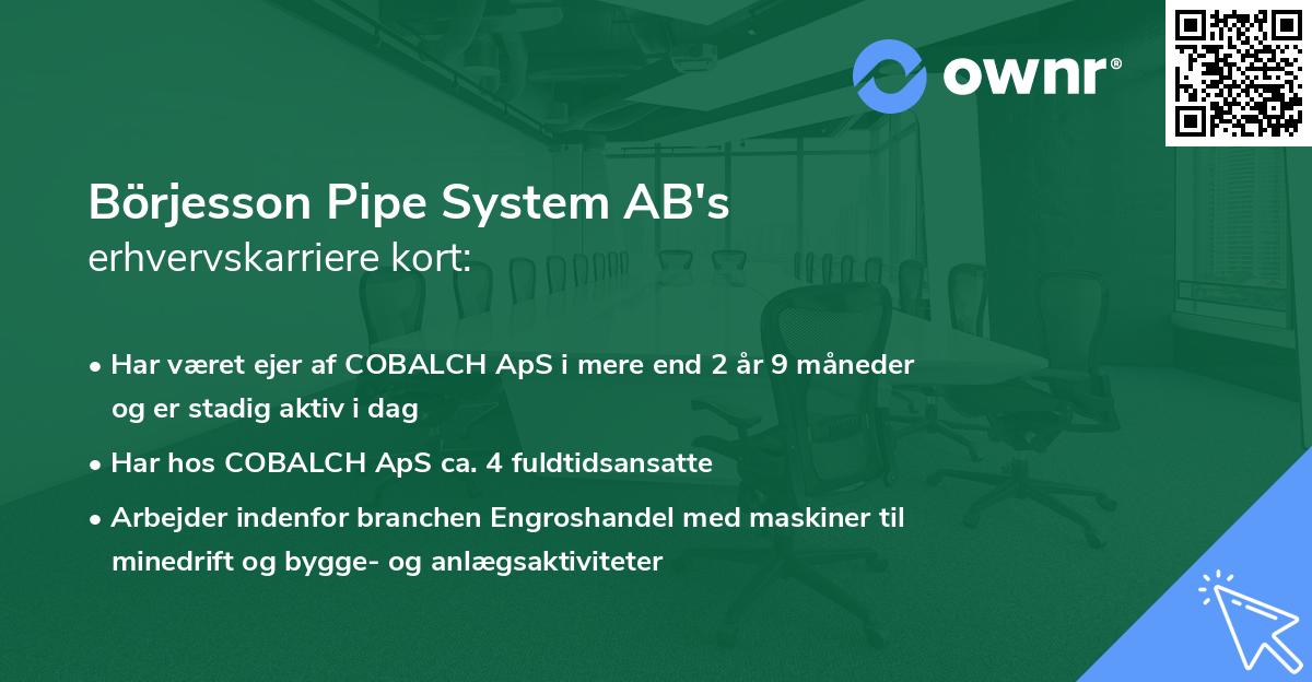 Börjesson Pipe System AB's erhvervskarriere kort