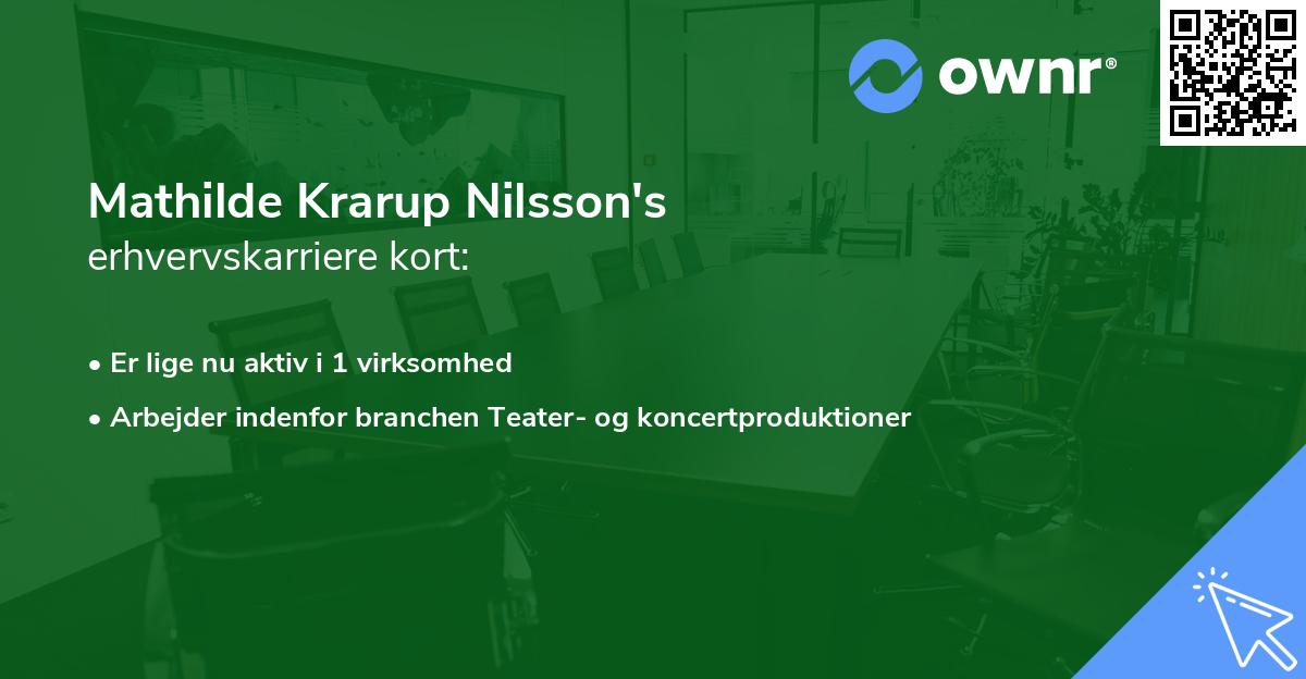 Mathilde Krarup Nilsson's erhvervskarriere kort