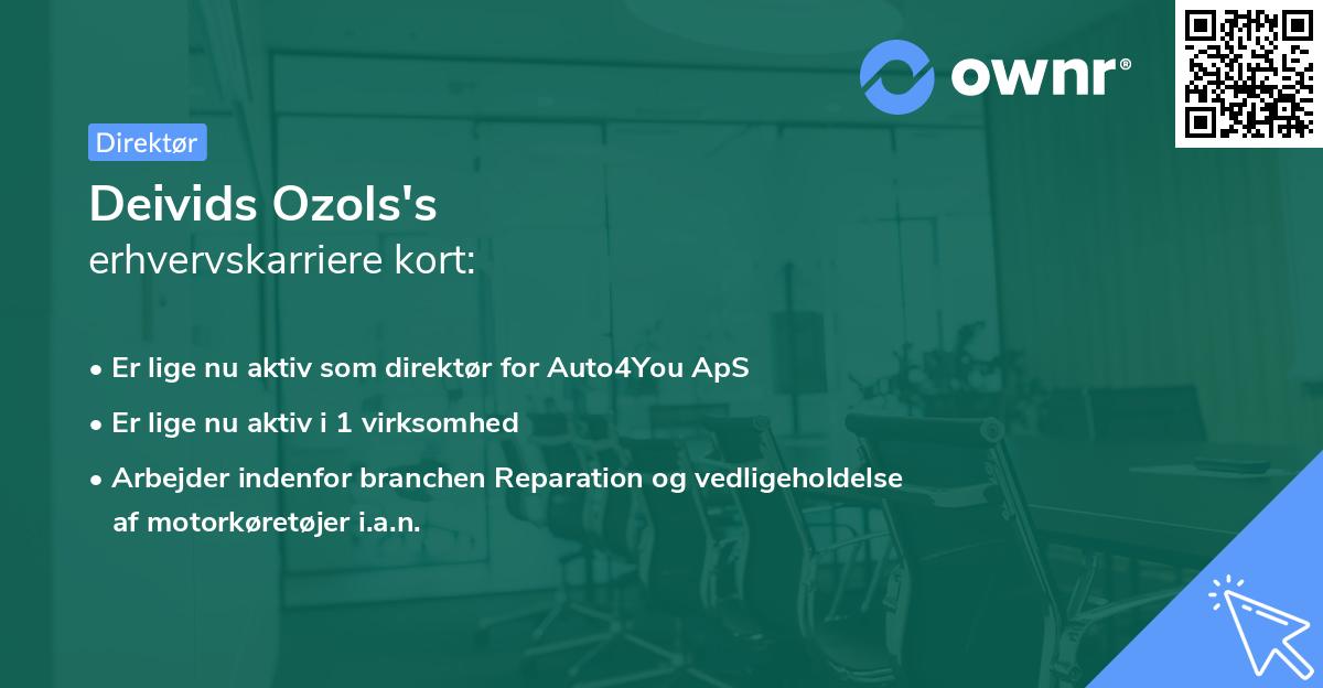 Deivids Ozols's erhvervskarriere kort