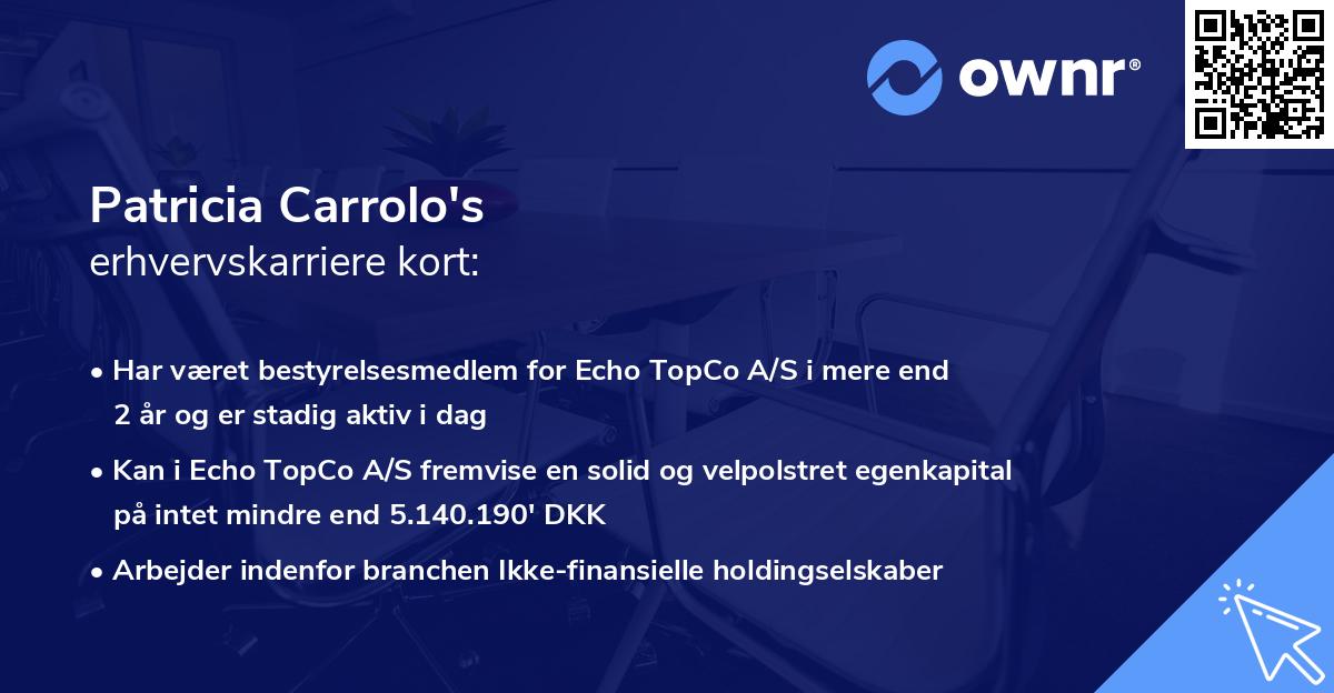 Patricia Carrolo's erhvervskarriere kort