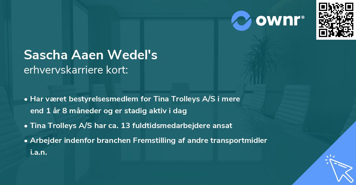 Sascha Aaen Wedel's erhvervskarriere kort
