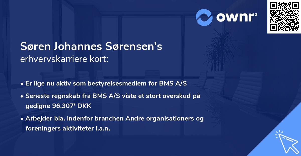 Søren Johannes Sørensen's erhvervskarriere kort