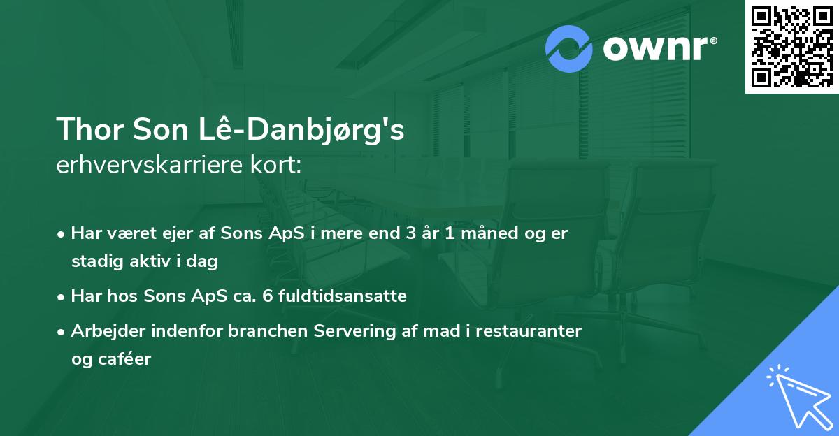 Thor Son Lê-Danbjørg's erhvervskarriere kort