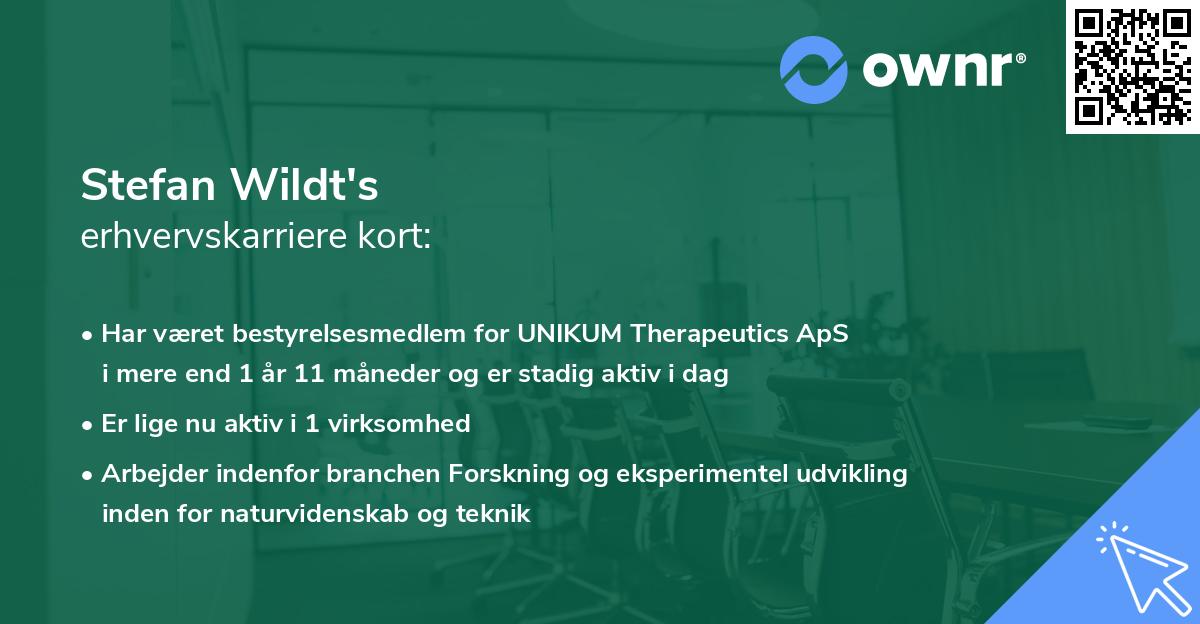 Stefan Wildt's erhvervskarriere kort