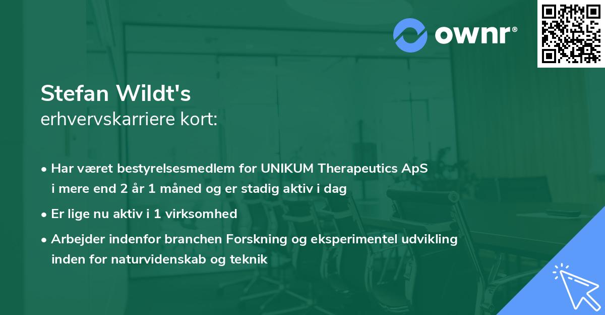 Stefan Wildt's erhvervskarriere kort
