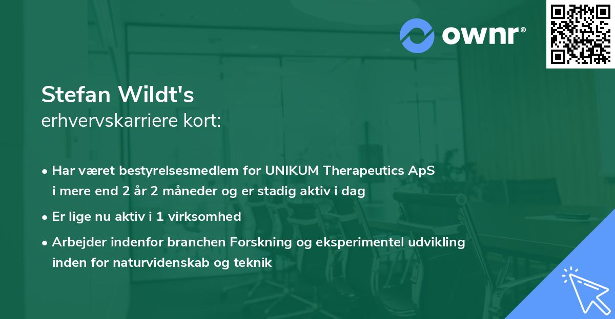 Stefan Wildt's erhvervskarriere kort