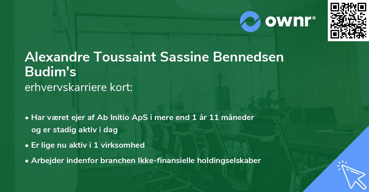 Alexandre Toussaint Sassine Bennedsen Budim's erhvervskarriere kort