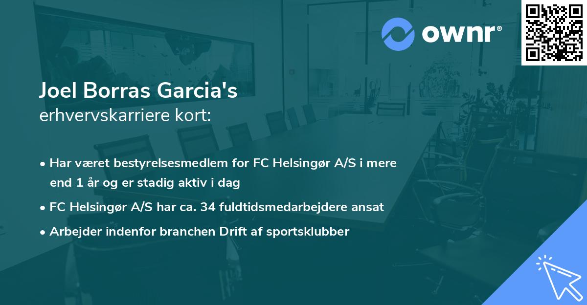 Joel Borras Garcia's erhvervskarriere kort