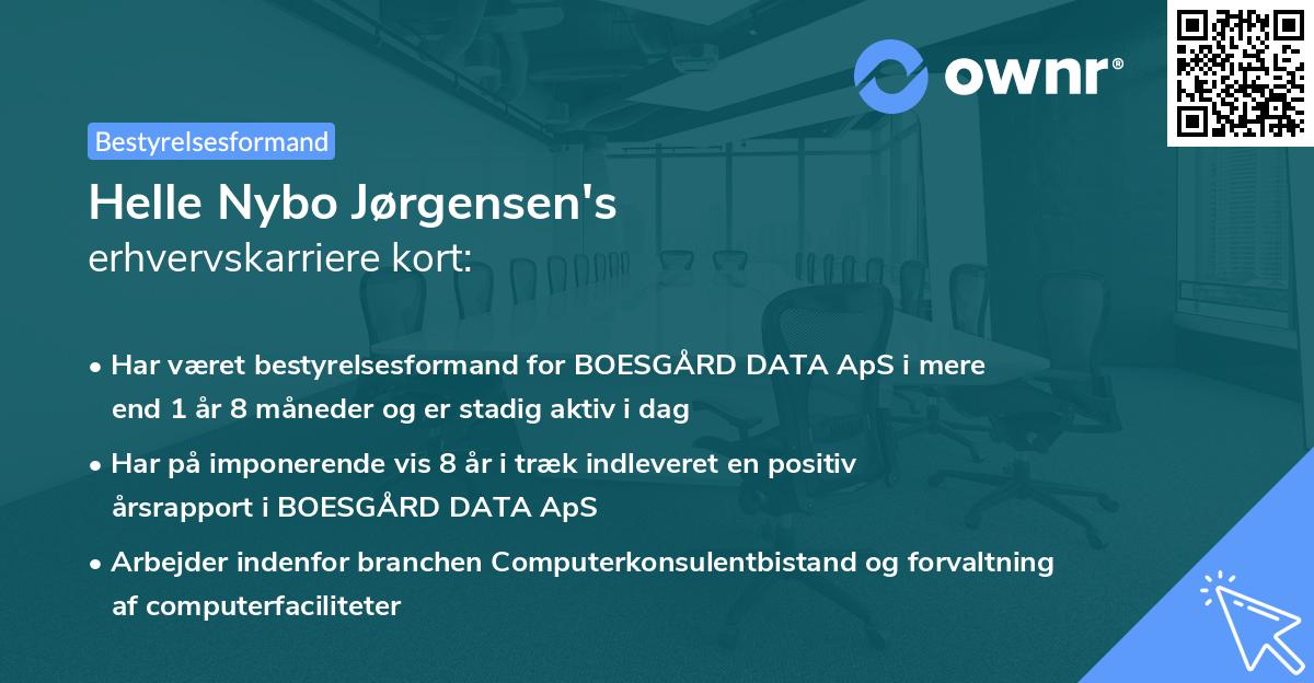Helle Nybo Jørgensen's erhvervskarriere kort