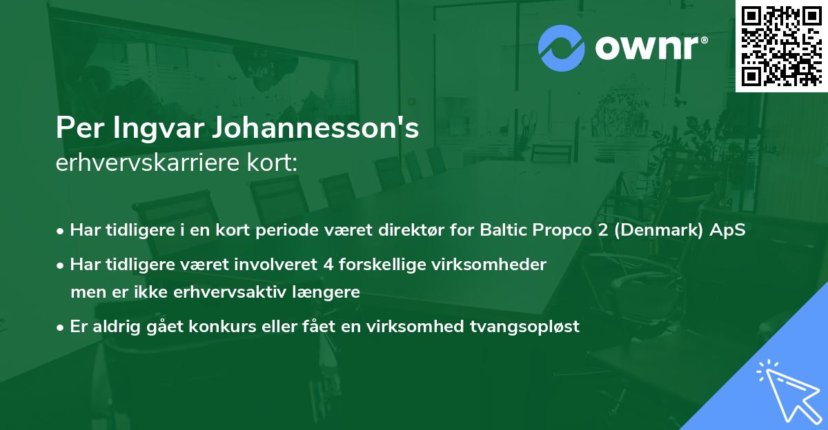 Per Ingvar Johannesson's erhvervskarriere kort