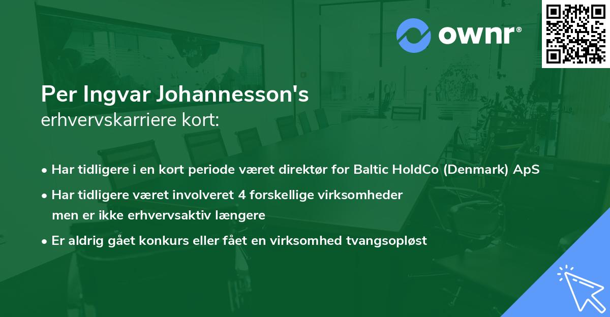 Per Ingvar Johannesson's erhvervskarriere kort