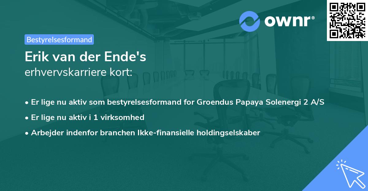 Erik van der Ende's erhvervskarriere kort