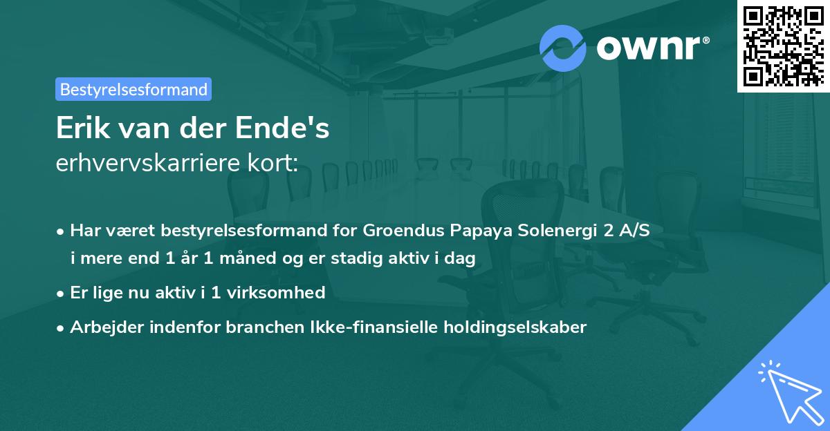 Erik van der Ende's erhvervskarriere kort