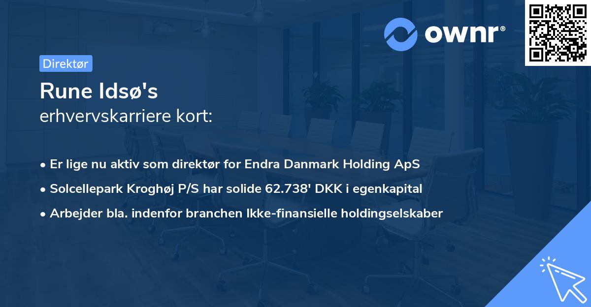 Rune Idsø's erhvervskarriere kort