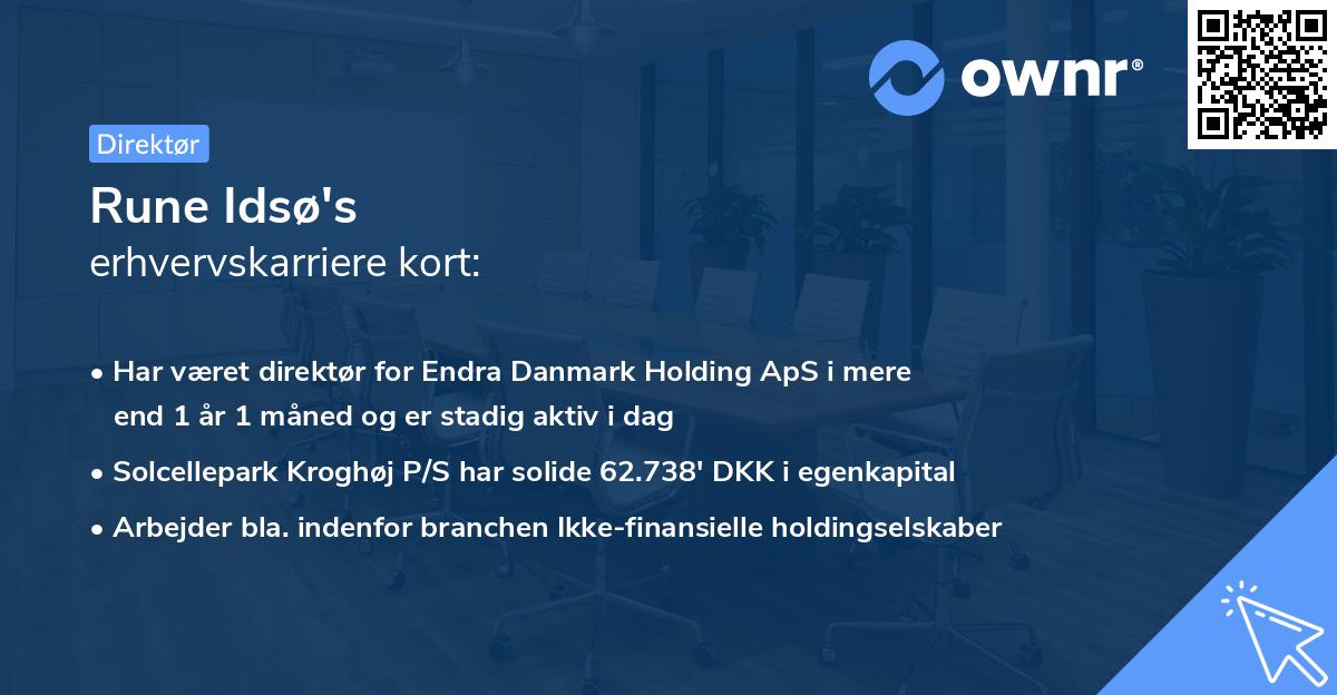 Rune Idsø's erhvervskarriere kort