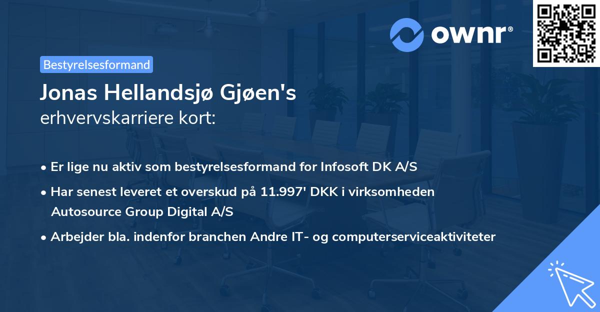 Jonas Hellandsjø Gjøen's erhvervskarriere kort