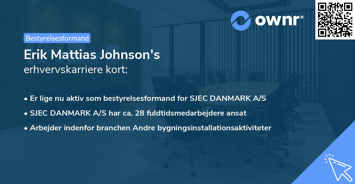Erik Mattias Johnson's erhvervskarriere kort