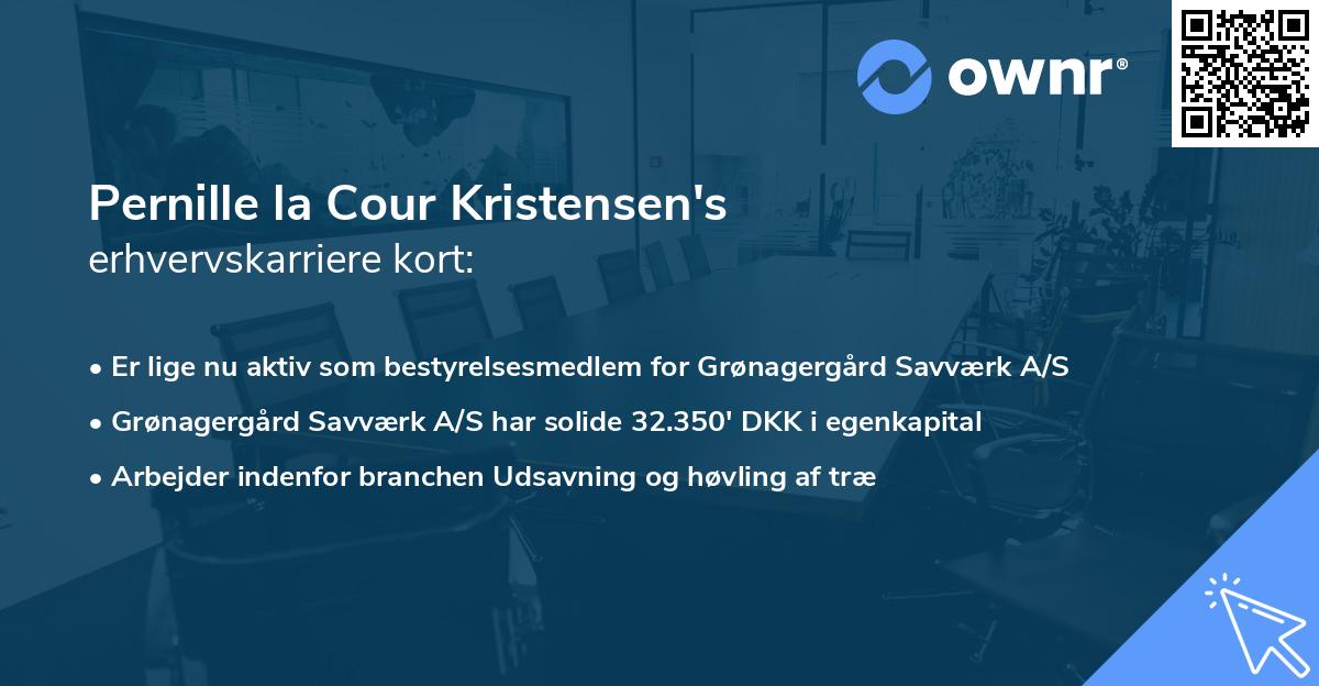 Pernille la Cour Kristensen's erhvervskarriere kort