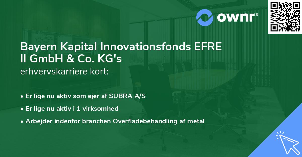 Bayern Kapital Innovationsfonds EFRE II GmbH & Co. KG's erhvervskarriere kort