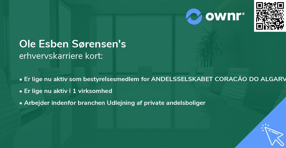 Ole Esben Sørensen's erhvervskarriere kort