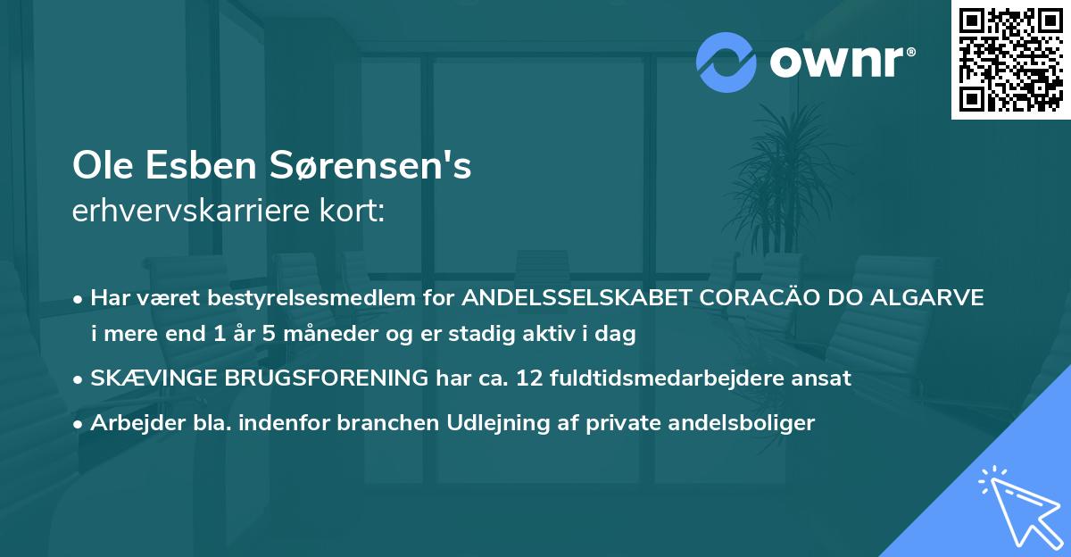 Ole Esben Sørensen's erhvervskarriere kort