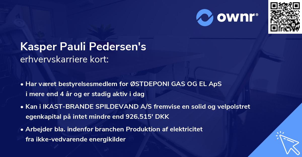 Kasper Pauli Pedersen's erhvervskarriere kort