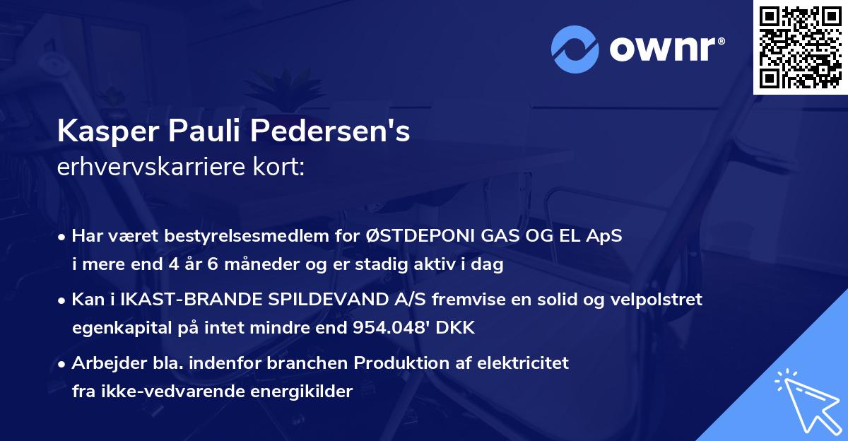 Kasper Pauli Pedersen's erhvervskarriere kort