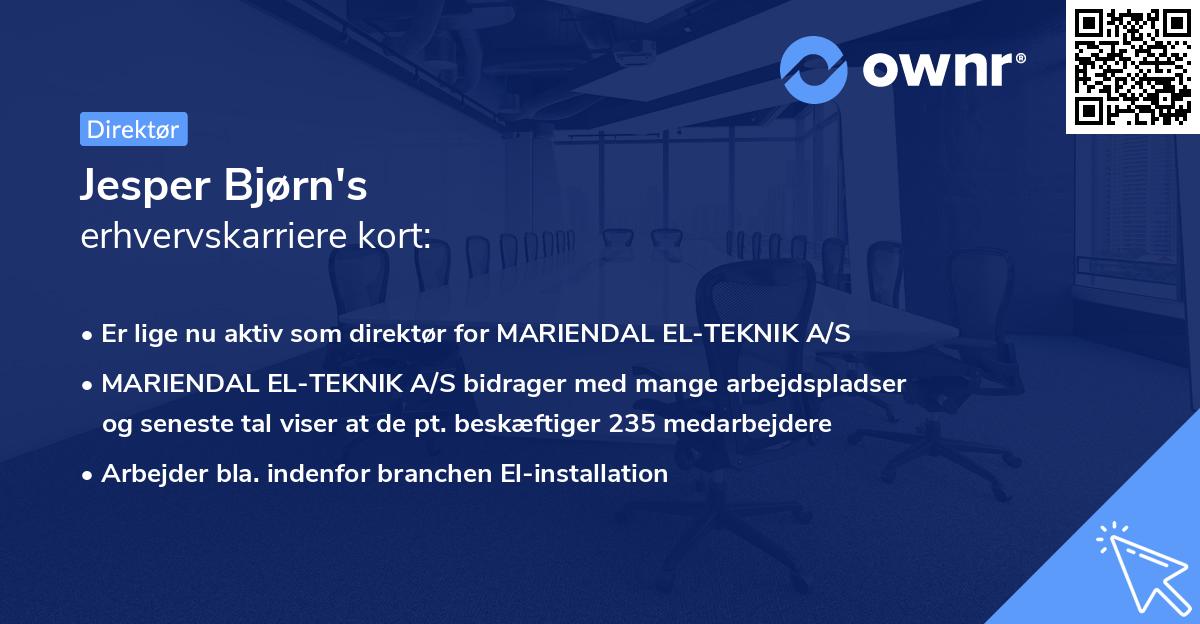 Jesper Bjørn's erhvervskarriere kort