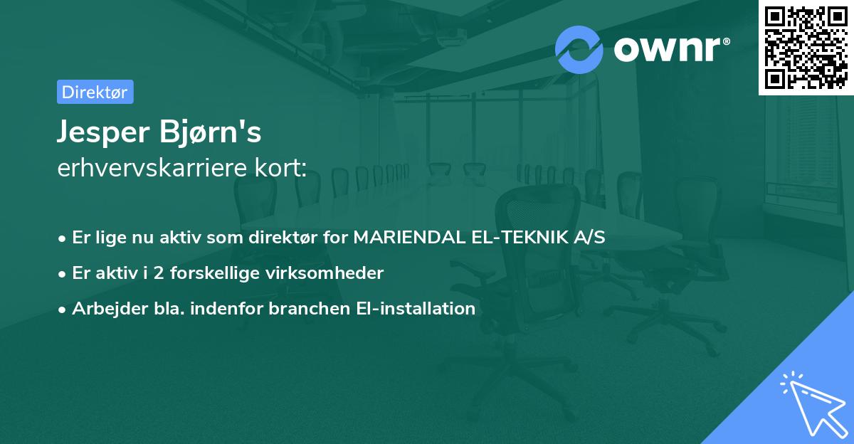 Jesper Bjørn's erhvervskarriere kort