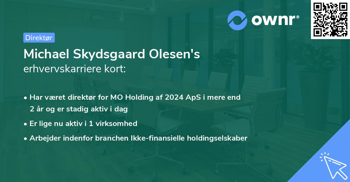 Michael Skydsgaard Olesen's erhvervskarriere kort