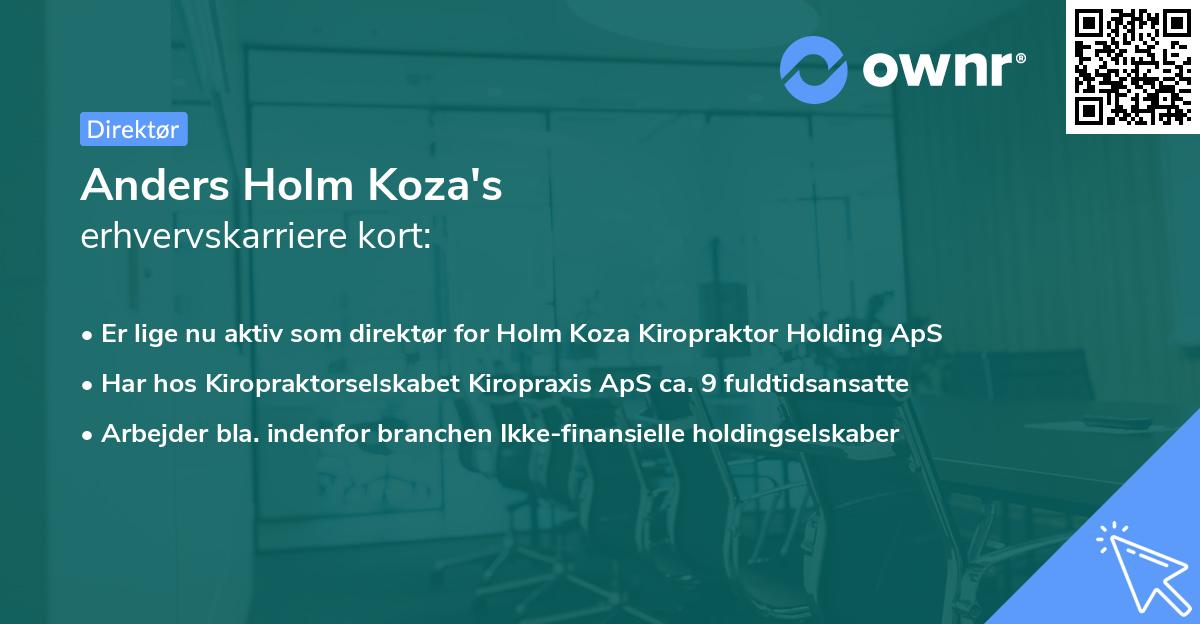 Anders Holm Koza's erhvervskarriere kort
