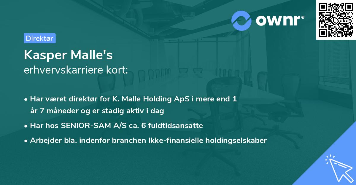 Kasper Malle's erhvervskarriere kort