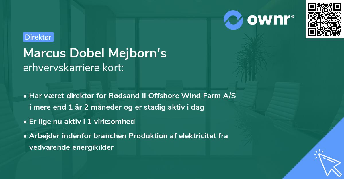 Marcus Dobel Mejborn's erhvervskarriere kort