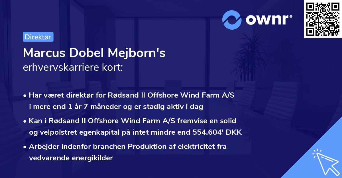 Marcus Dobel Mejborn's erhvervskarriere kort