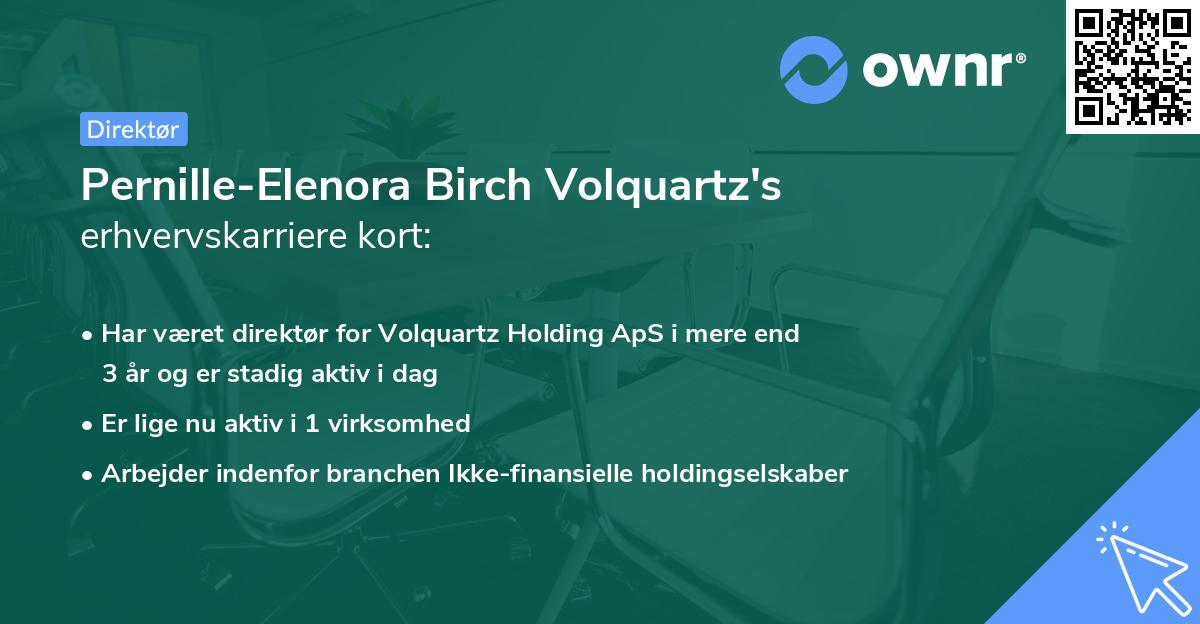 Pernille-Elenora Birch Volquartz's erhvervskarriere kort