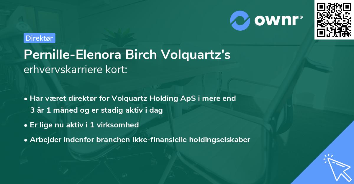 Pernille-Elenora Birch Volquartz's erhvervskarriere kort