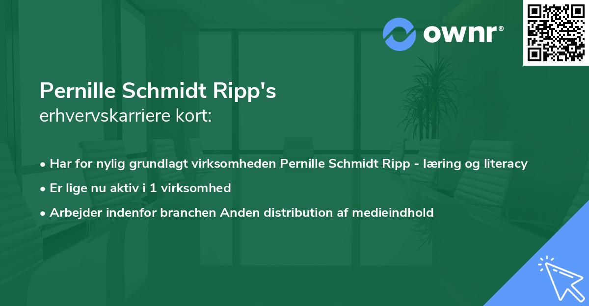 Pernille Schmidt Ripp's erhvervskarriere kort
