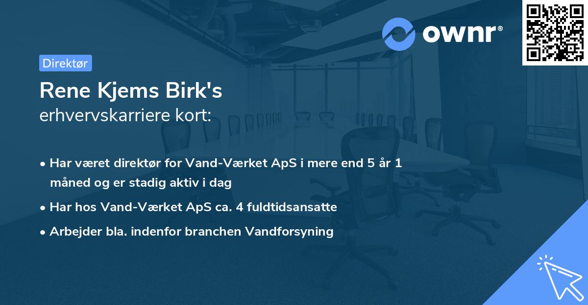 Rene Kjems Birk's erhvervskarriere kort