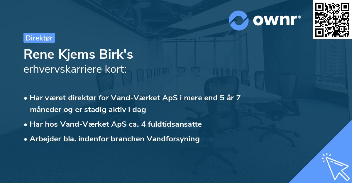 Rene Kjems Birk's erhvervskarriere kort