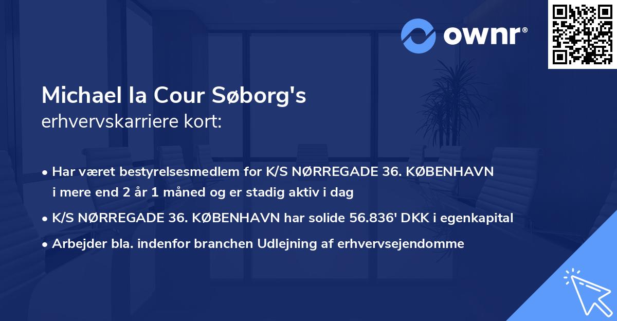 Michael la Cour Søborg's erhvervskarriere kort