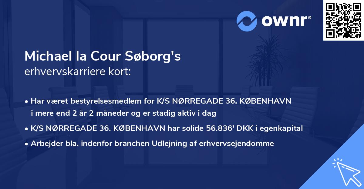 Michael la Cour Søborg's erhvervskarriere kort