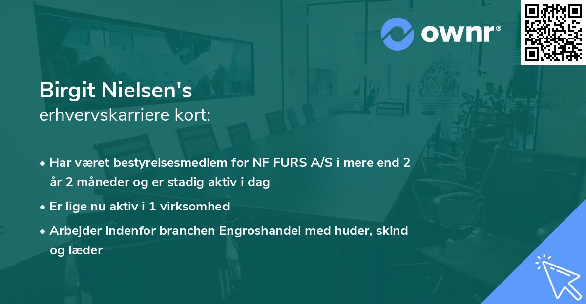 Birgit Nielsen's erhvervskarriere kort