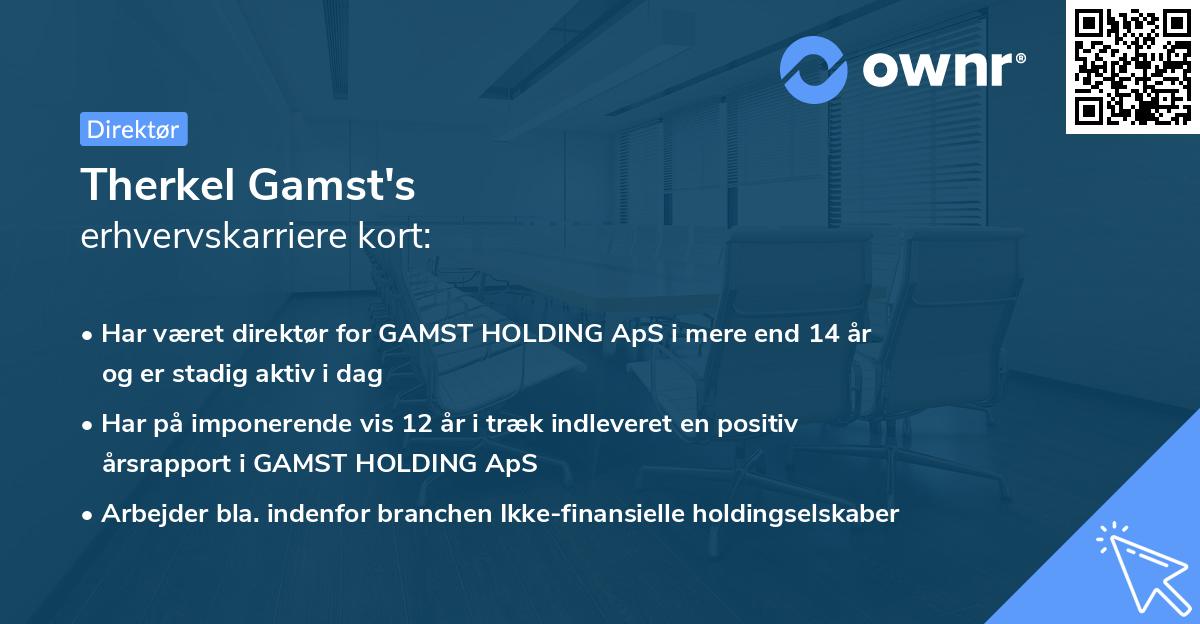 Therkel Gamst's erhvervskarriere kort