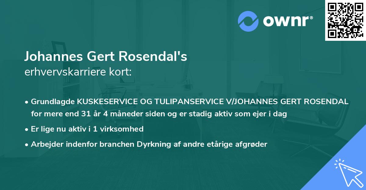 Johannes Gert Rosendal's erhvervskarriere kort