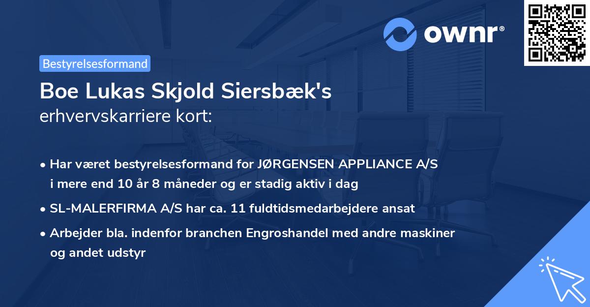Boe Lukas Skjold Siersbæk's erhvervskarriere kort